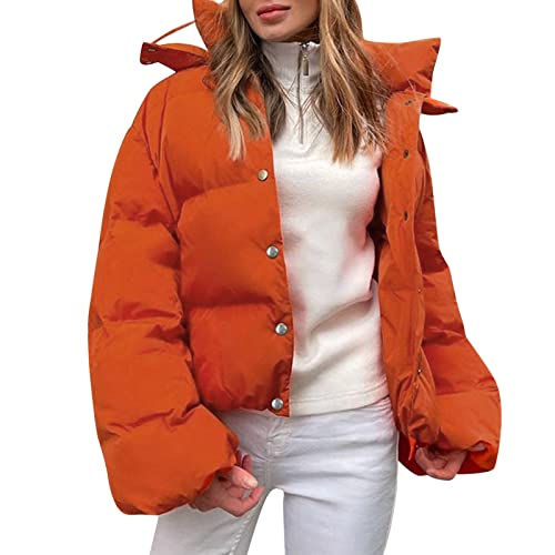 boseucn Puffer Jacke Damen Winter, Damen Cropped Fit Pufferjacke mit Breitem Stehkragen Modern Frauen Winterjacke Kurz Geschnitten Wattierte Steppjacke Jacke Winter Puffer Jacket mit Taschen von boseucn