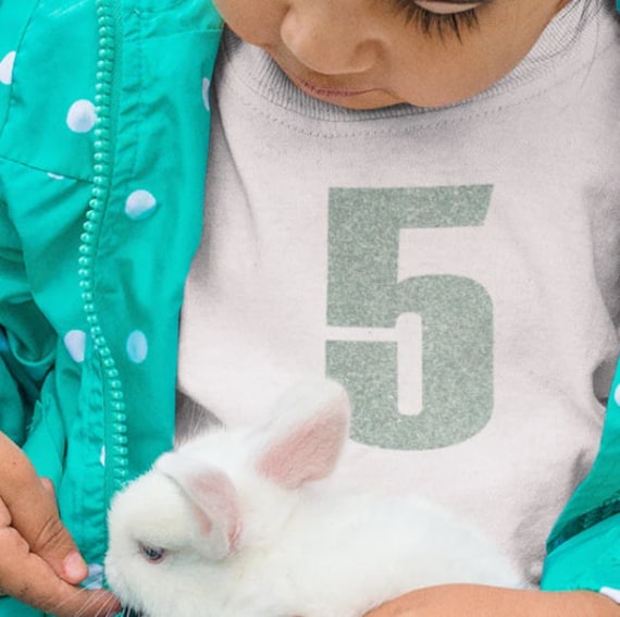 Bügelbild "Zahl" | 1 Ziffer in Verschiedenen Folien/ Farben von briida