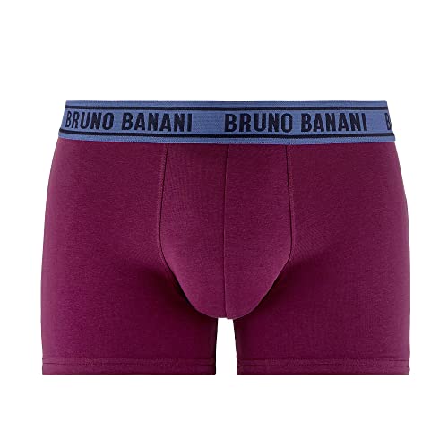 bruno banani Herren Short Vino von bruno banani