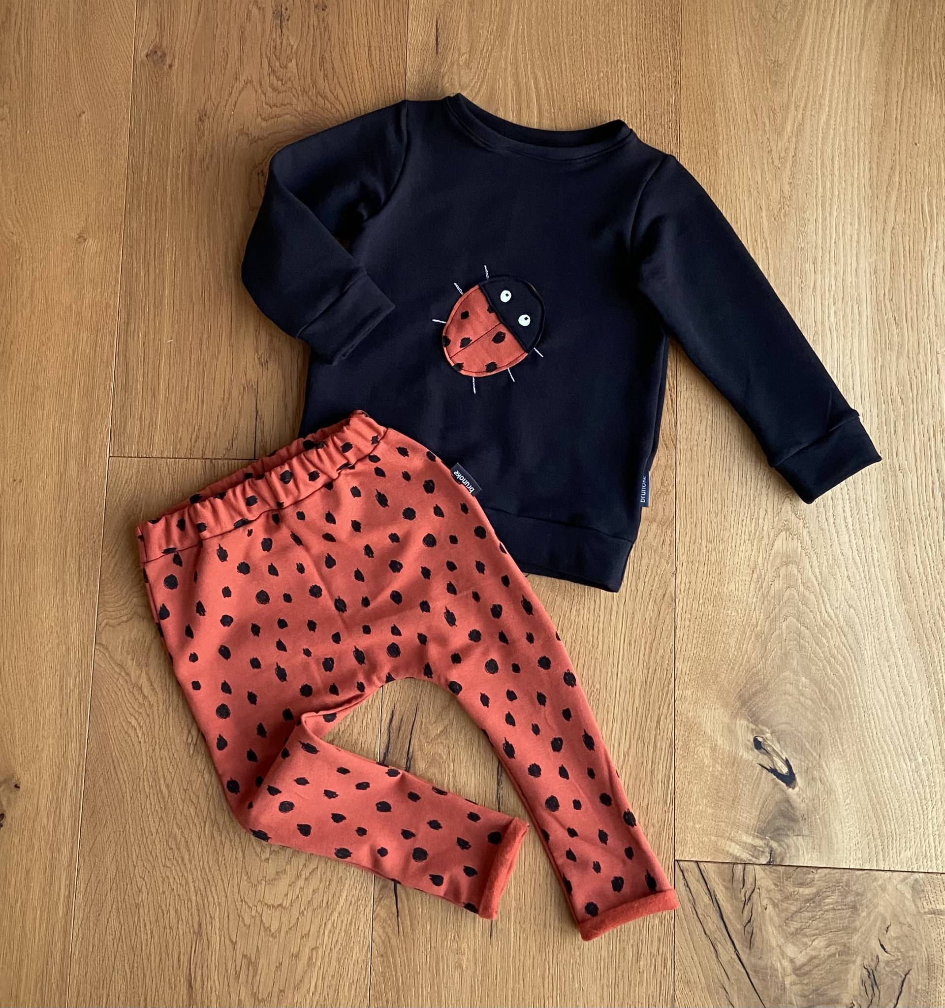 Pullover Und Hose Baby Kinder, Sweatshirt Baby, Haremhose, Marienkäfer Pullover, Mädchen, Marienkäfer, Mädchen von brunoke