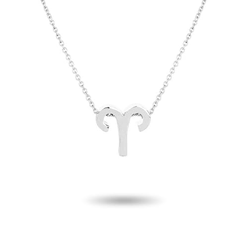 budiniao Ins Zwölf Sternzeichen Vintage Zodiac Halskette Ins einzigartige Schmuckkette Charm DIY Chic Anhänger Mode Accessoire, Widder Silber von budiniao