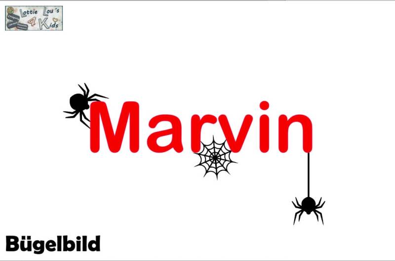 Iron On Bügelbild Spinne Netz Wunschname -Farbe - -Größe von byLottieLou