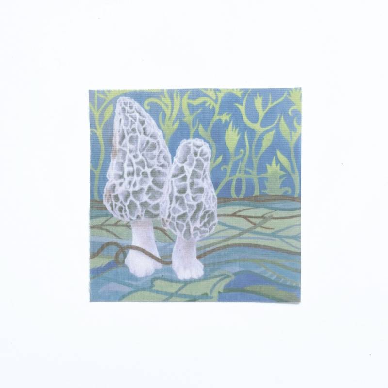 Stoffaufnäher Morchelpilz, Aufdruck Aus Recyceltem Polyester, Zum Aufbügeln Und Aufnähen, Farbsublimation, Appliziertes Stoffpanel, Inklusive Versand Stoffaufnäher Morchelpilz, Aufdruck Aus Recyceltem Polyester, Zum Aufbügeln Und Aufnähen, Farbsublimation, Appliziertes Stoffpanel, Inklusive Versand von cadajohnson