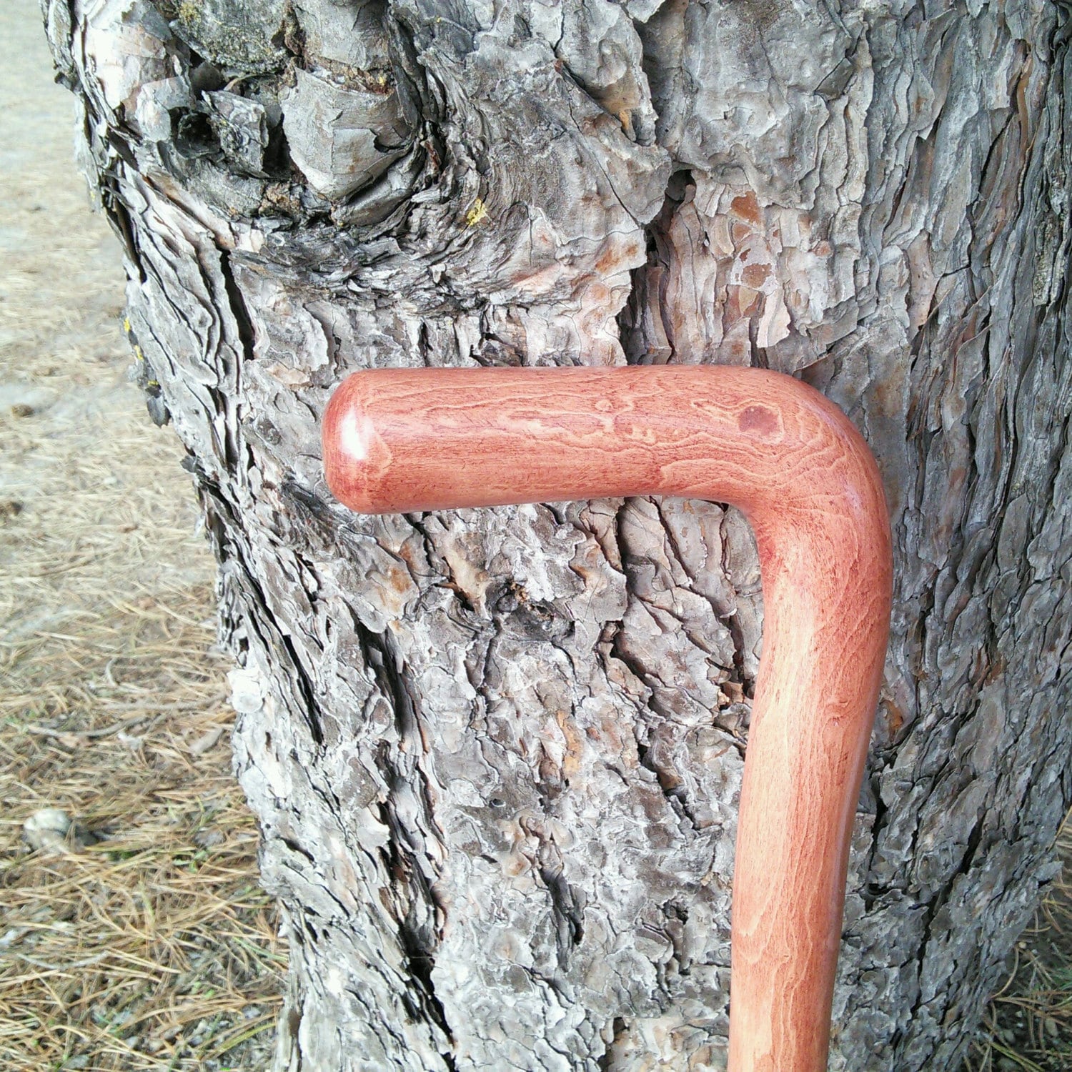 Ahorn 40.5"(Griff 1.3"Rohr von canesUmake