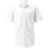 CG Eloy Weiss 41 von carl gross