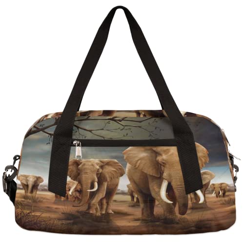 Afrikanische Wildtiere Elefant Kinder Duffle Bag Mädchen Tanztasche Leicht Wasserabweisend Faltbar Sport Gym Bag Weekender Übernachtung Übernachtung Handgepäck Reisetasche für Jungen Mädchen von cfpolar