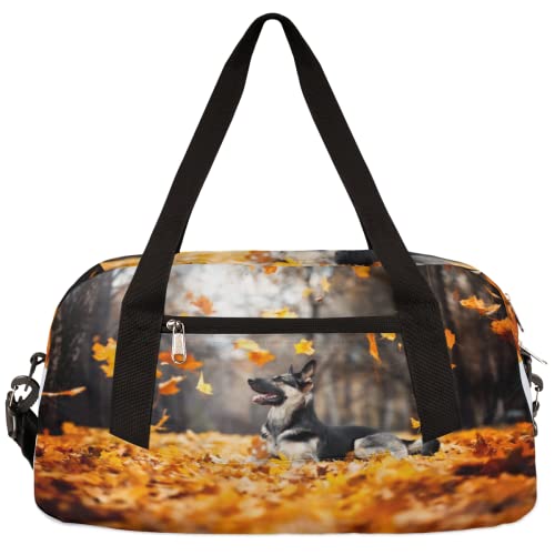 Herbst Ahorn Hund Kinder Duffle Bag Mädchen Tanztasche Leicht Wasserabweisend Faltbar Sport Gym Bag Weekender Übernachtung Übernachtung Carry On Reisetasche für Jungen Mädchen von cfpolar