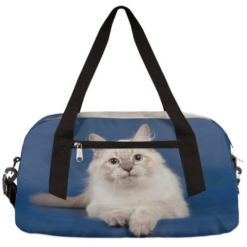 Niedliche Ragdoll-Katzen-Kinder-Seesack für Mädchen, Tanztasche, leicht, wasserabweisend, faltbar, Sport, Turnbeutel, Wochenende, Übernachtung, Übernachtung, Handgepäck, Reisetasche für Jungen und von cfpolar