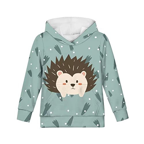 chaqlin Niedliches Kapuzen-Sweatshirt für Mädchen und Jungen, bequemer Kinder-Kapuzenpullover, Neuheitspullover mit Tasche, Forest Igel, 116 von chaqlin