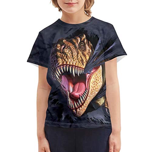 chaqlin T-Shirt für Teenager, Jungen, Mädchen, 3D-Druck, buntes Design, Grafik-T-Shirt mit kurzen Ärmeln für Kinder von 3–16 Jahren, Dinosaurier-1, 11-12 Jahre von chaqlin