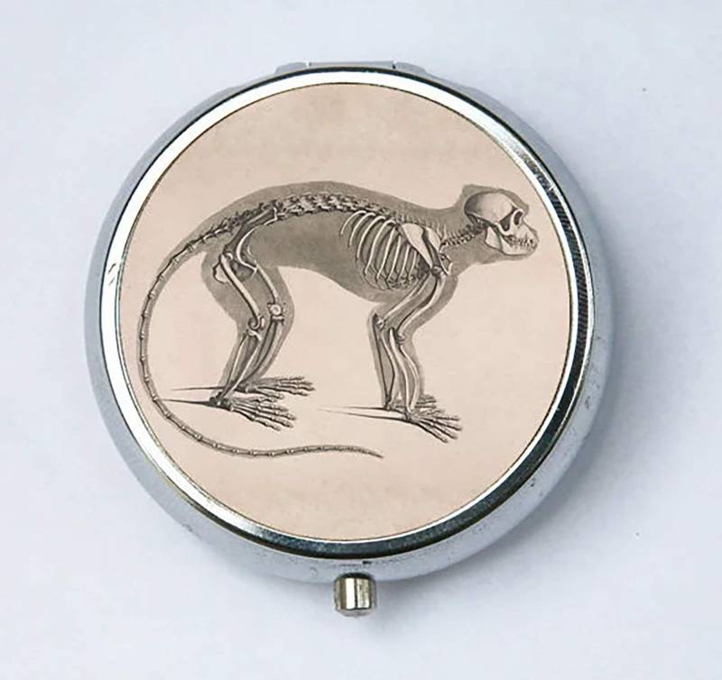 Affen-Skelett Pillbox Pillenhalter Boxenhalter von che655