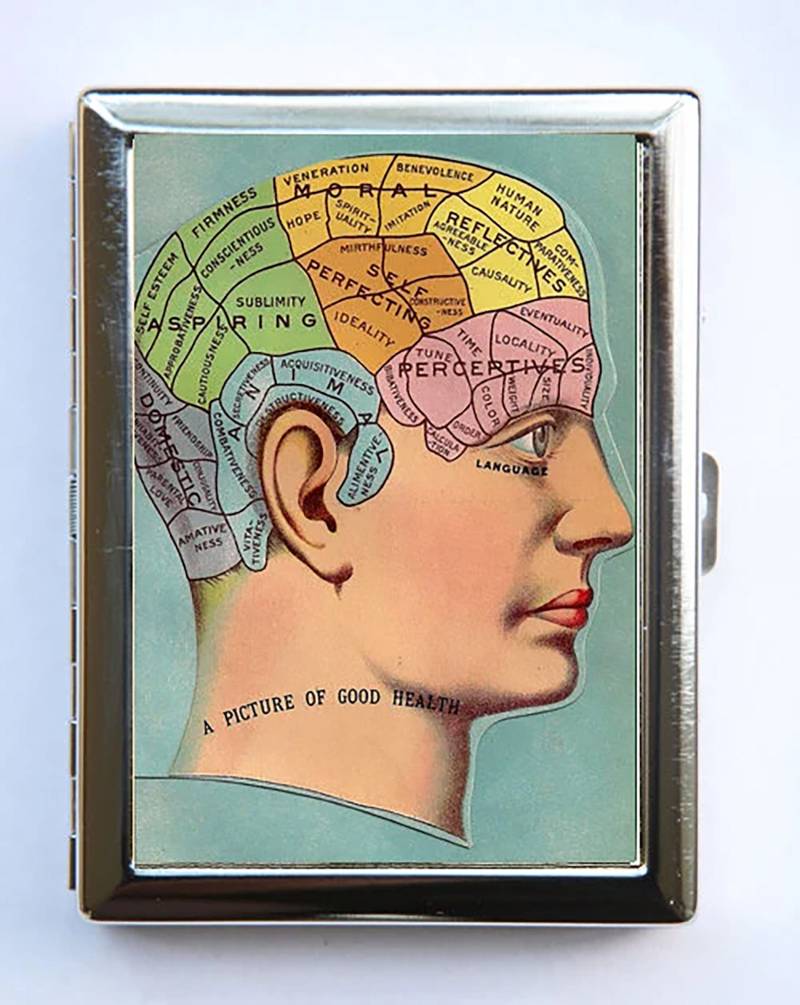 Anatomie Gehirn Schädel Zigarettenetui Brieftasche Visitenkartenhalter Ein Bild Der Gesundheit von che655