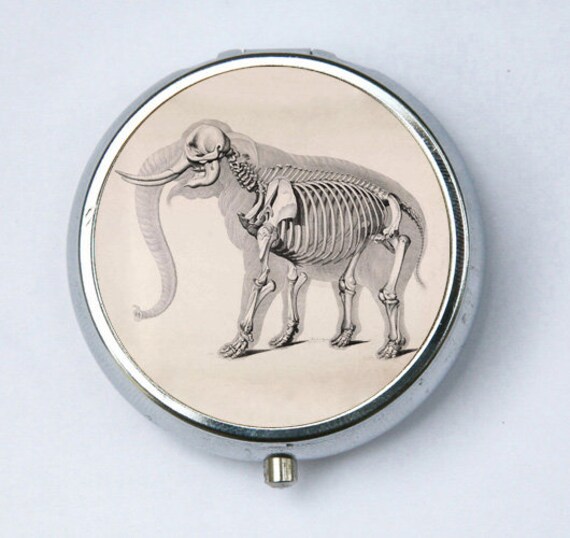 Elefant Skelett Pillbox Pille Fall Box Halter von che655