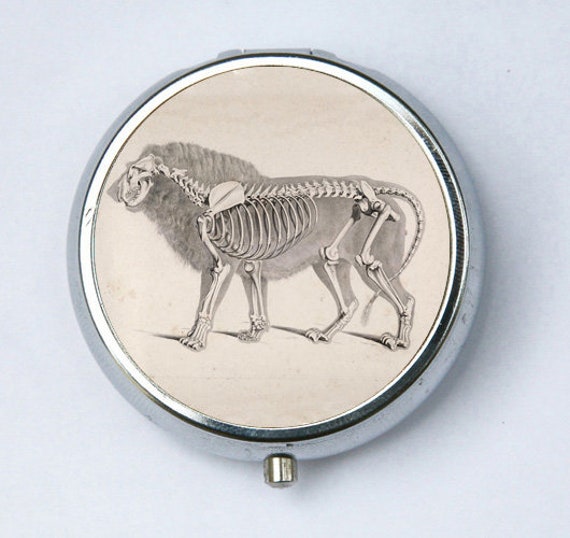 Löwe Skelett Pillbox Pille Fall Box Halter von che655