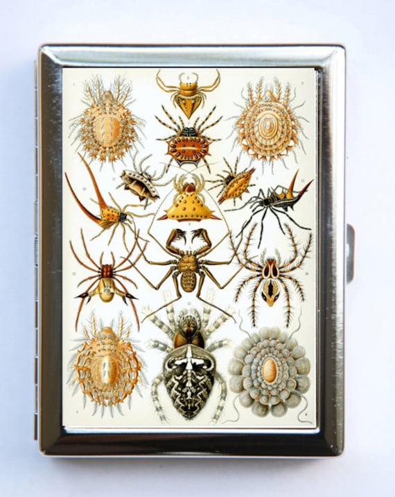 Spinnen Ernst Haeckel Zigarette Fall Brieftasche Visitenkartenhalter von che655