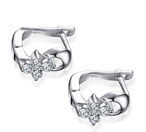 chenyesun Creolen Silber 925 Klein Damen 925 Sterling Silber Ohrringe Mädchen Blumen mit Zirkonia Polierte Hypoallergen Ohrschmuck von chenyesun