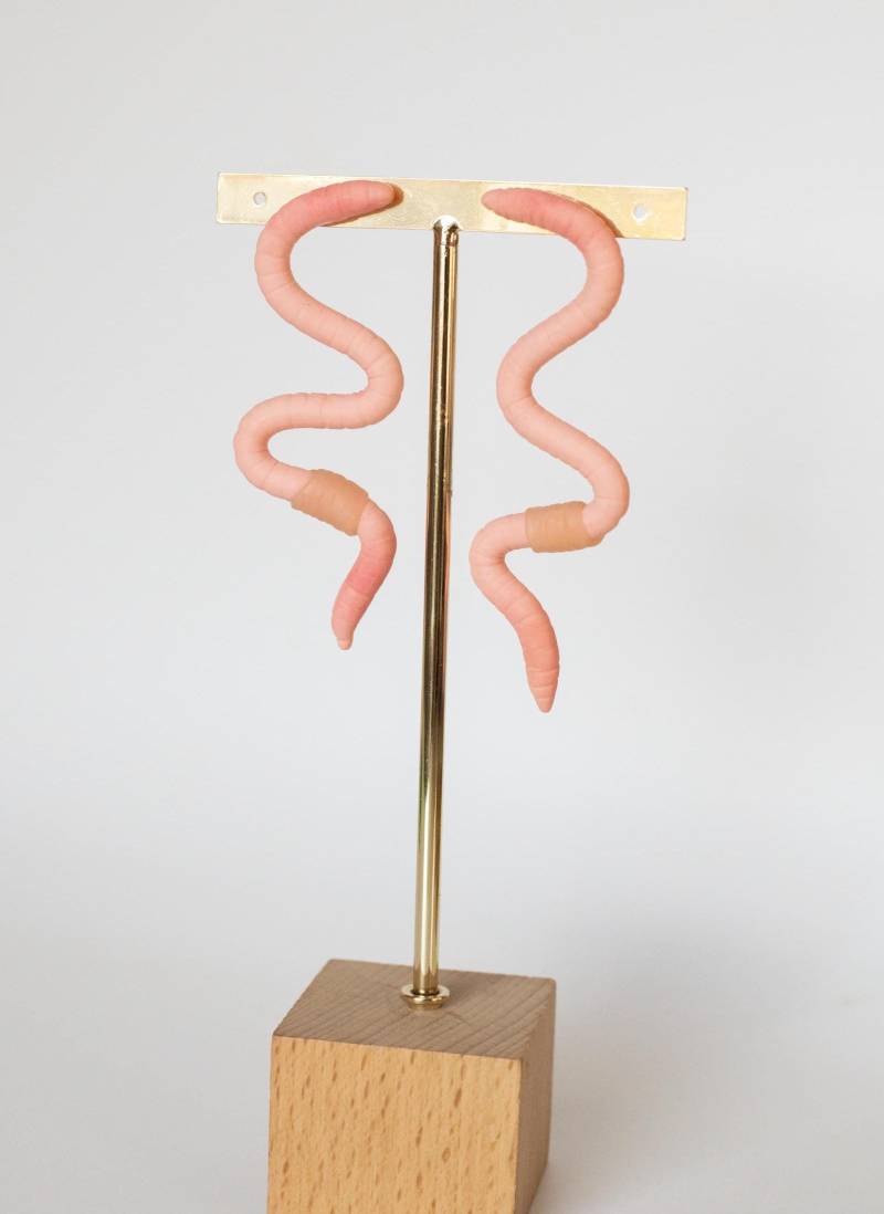 Wurm Handgemachte Polymer Ton Baumeln Ohrringe von claybykendra