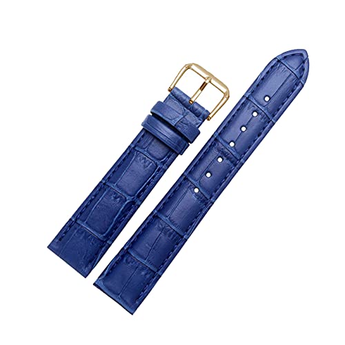 12mm-24mm bunter echtes Leder-eleganter Armband Ersatz Krokodil-Korn-Pin-Haken-Uhrenarmband mit Quick Release-Frühlings-Stab, Blau, 15mm von cocolook