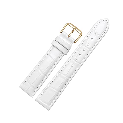 12mm-24mm bunter echtes Leder-eleganter Armband Ersatz Krokodil-Korn-Pin-Haken-Uhrenarmband mit Quick Release-Frühlings-Stab, Weiß, 23mm von cocolook
