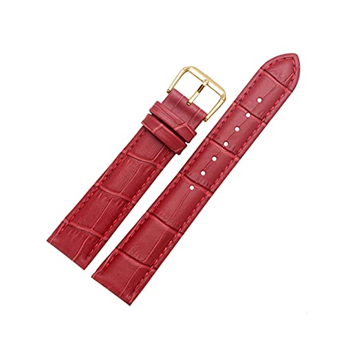 12mm-24mm bunter echtes Leder-eleganter Armband Ersatz Krokodil-Korn-Pin-Haken-Uhrenarmband mit Quick Release-Frühlings-Stab, rot, 19mm von cocolook