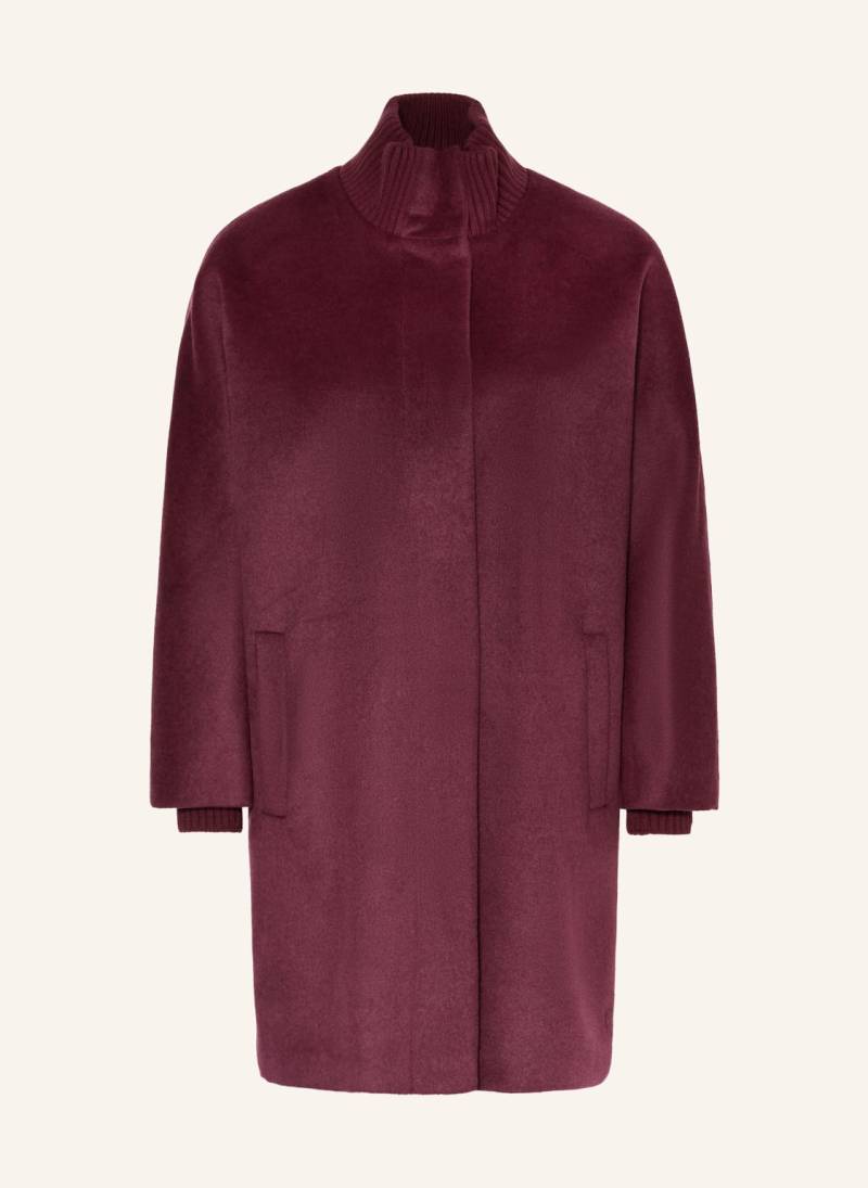 Comma Mantel rot von comma