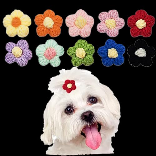 10 x Blumen-Haarschleifen für kleine und mittelgroße Hunde, Yorkie-Mädchen, Jungen, Blumenschleifen mit Gummiband, für Hunde, Katzen, Haar-Accessoires für Party, Geburtstag von cuhair