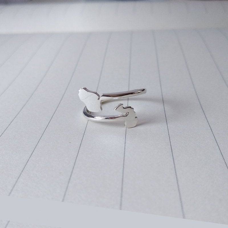 Benutzerdefinierte Land Oder Staaten Ring, Zwei Silber Alle Bester Freund Personalisierte Doppelte Fern Geschenk von customforu