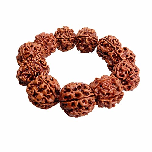 dailymall 20mm Rudraksha Perlen Tibetischen Buddhismus Gebet Amulett Armband Yoga von dailymall