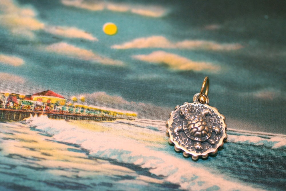 Schildkröte Anhänger Sterling & 18K Nur Dana von danaschneiderjewelry