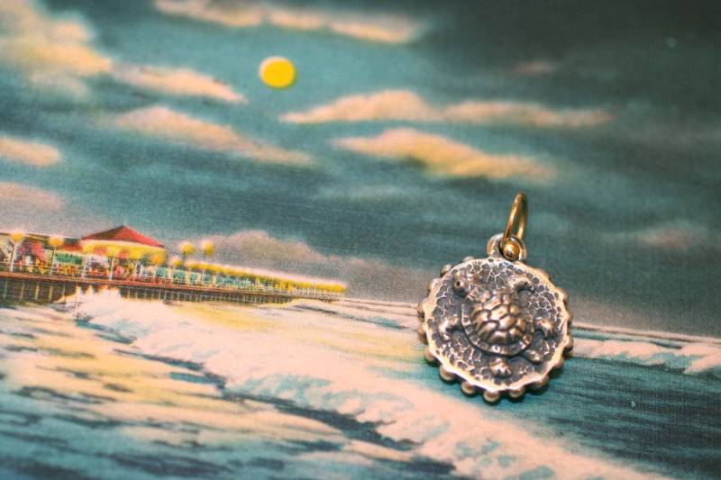 Schildkröte Anhänger Sterling & 18K Nur Dana von danaschneiderjewelry