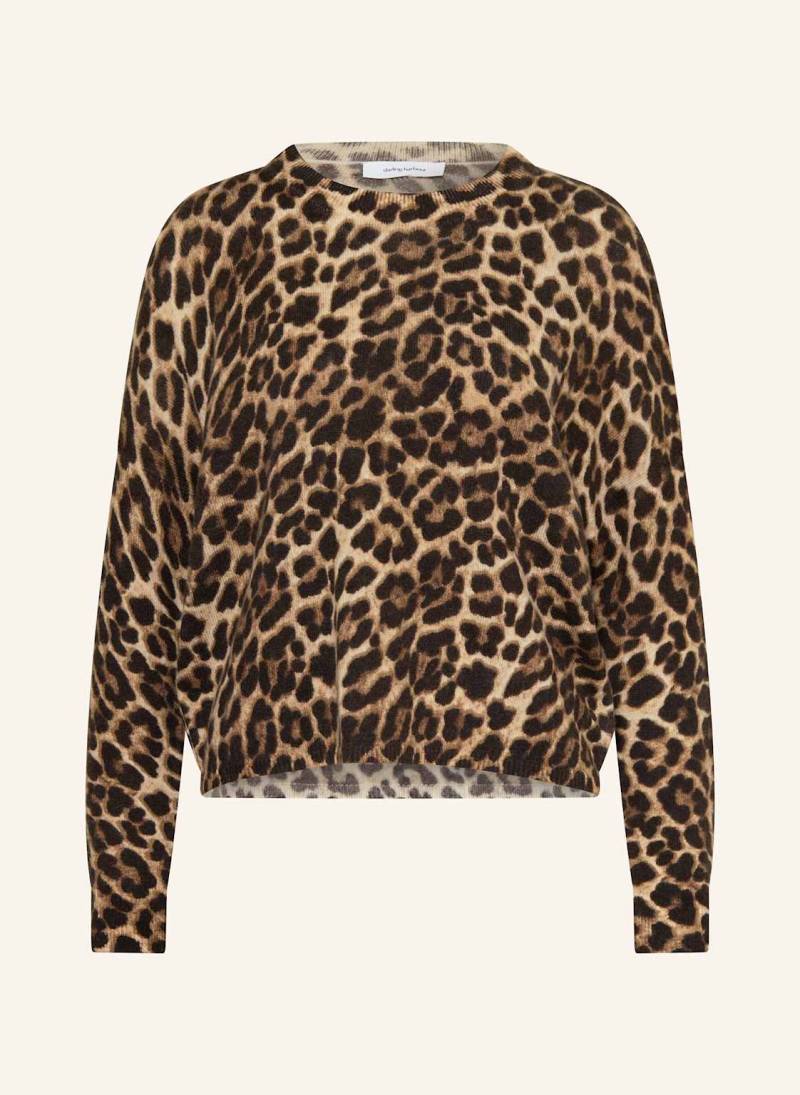 Darling Harbour Pullover Mit Cashmere braun von darling harbour