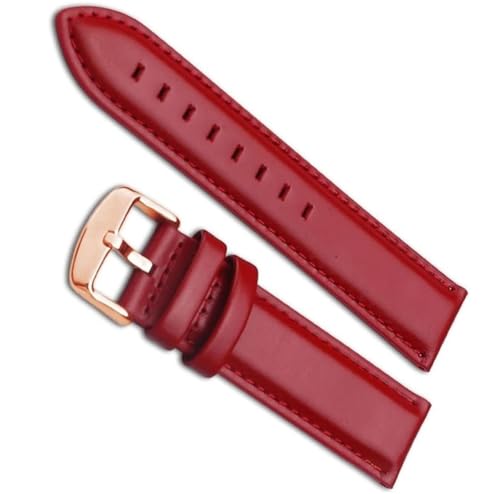 dayeer Uhrenarmband für DW-Uhrenarmband für Daniel For Wellington-Uhrenarmband mit roségoldener Schnalle (Color : Rose-red, Size : 19mm) von dayeer