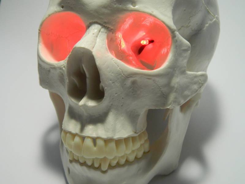 Halloween Prop Kostüm Zubehör 9 Volt Batterie Betrieben 24 "Led Augen Für Schädel, Skelette Oder Masken. Wählen Sie Rot, Grün, Blau, Weiß, Orange Halloween Prop Kostüm Zubehör 9 Volt Batterie Betrieben 24 "Led Augen Für Schädel, Skelette Oder Masken. Wählen Sie Rot, Grün, Blau, Weiß, Orange von deadheadprops
