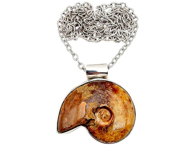 Large Ammonite Fossil Pendant | 4.9x3.9 cm Necklace in Silver | 75G, 69cm von detaschmuck