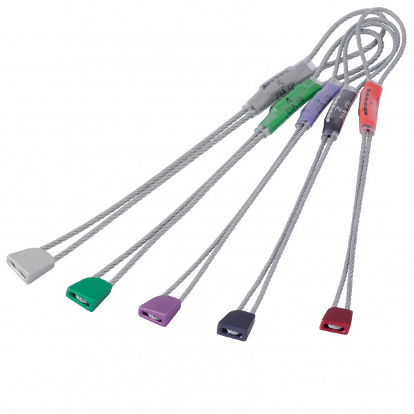 DMM - Peenut - Klemmkeil Gr Sizes 1-5 assorted von dmm