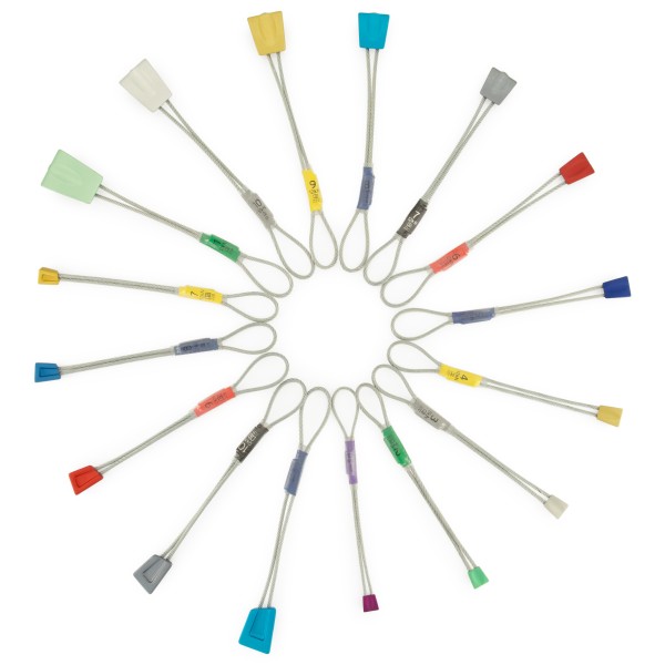 DMM - Starter's Nut Protection Set - Klemmkeil multicolor von dmm