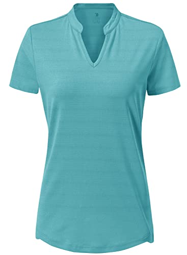 donhobo Sommer Damen T-Shirt Kurzarm V Ausschnitt Basic Oberteil Sport Fitness Laufshirts Yoga Training Casual Tops (Aquablau, M) von donhobo