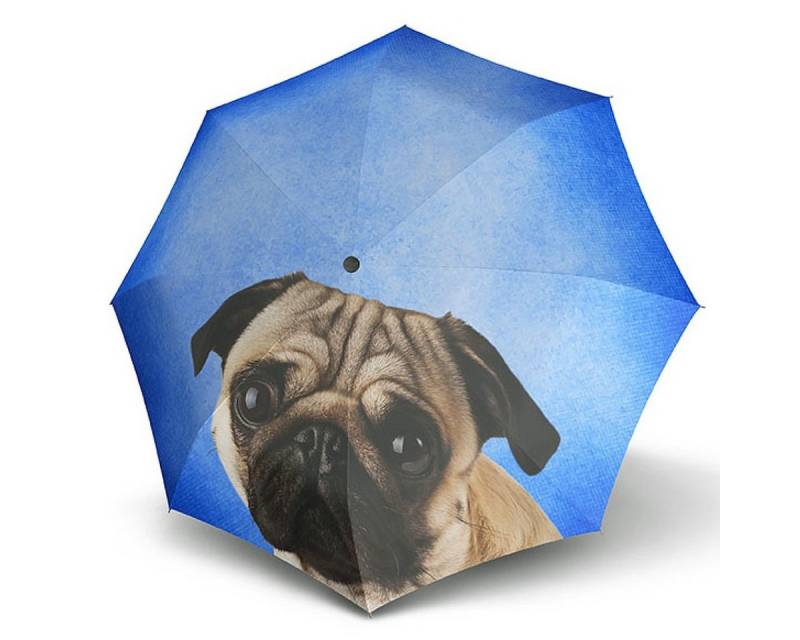 doppler® Taschenregenschirm Modern Art Mini Lazy Dog Regenschirm Schirm Automatik 74615710 von doppler®