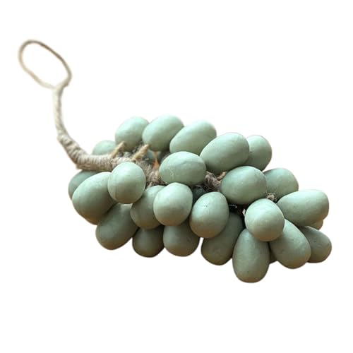 Soaprella Graperie Artisan Seifen, Gesichts- und Körperbad Trauben Bündel Seife für Dusche, feuchtigkeitsspendende und pflegende Hautpflege, natürliche handgefertigte Seifen für Männer und Frauen Soaprella Graperie Artisan Seifen, Gesichts- und Körperbad Trauben Bündel Seife für Dusche, feuchtigkeitsspendende und pflegende Hautpflege, natürliche handgefertigte Seifen für Männer und Frauen von driattie