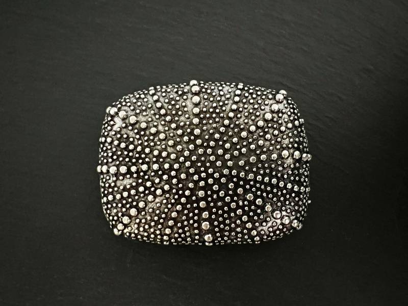 Ebbe Und Flut Gürtelschliesse Seeigel - Maritime Gürtelschnalle Für Wechselgürtel Mit 4 cm Breite von ebbeundflut