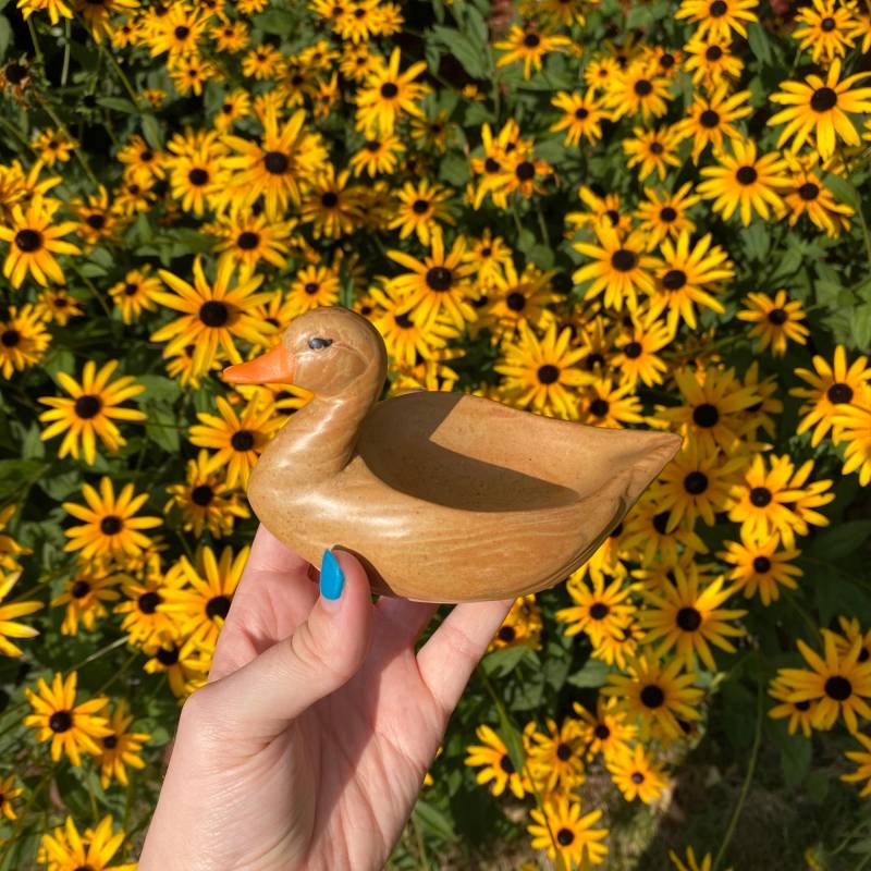 Ententeller | Schwan Teller Niedliche Schmuckstücke Schmuckschale Seifenschale Ringschale von elizabethsceramicss