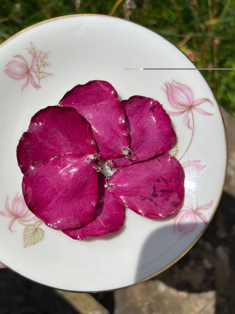 Kettenanhänger Aus Einem Echten, Konservierten Rosenblatt Mit Silbernem Verschluss Echte Blumen Lila Pink von ellsandemms