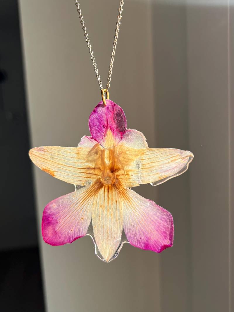 Kettenanhänger Aus Einer Echten Orchideenblüte in Rosa Und Weiß Mit Goldenem Verschluss von ellsandemms