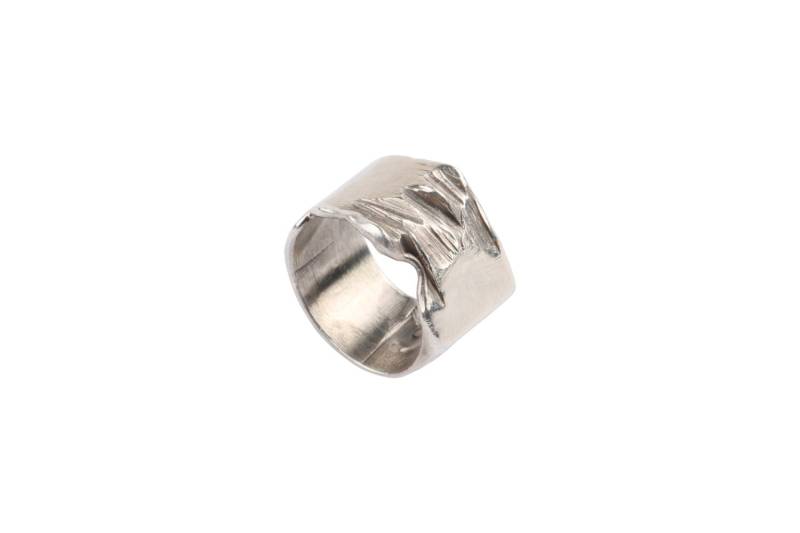 Perfektion-sterling Silber-Bio-Ring Perfektion-sterling Silber-Bio-Ring von elvisetmoi