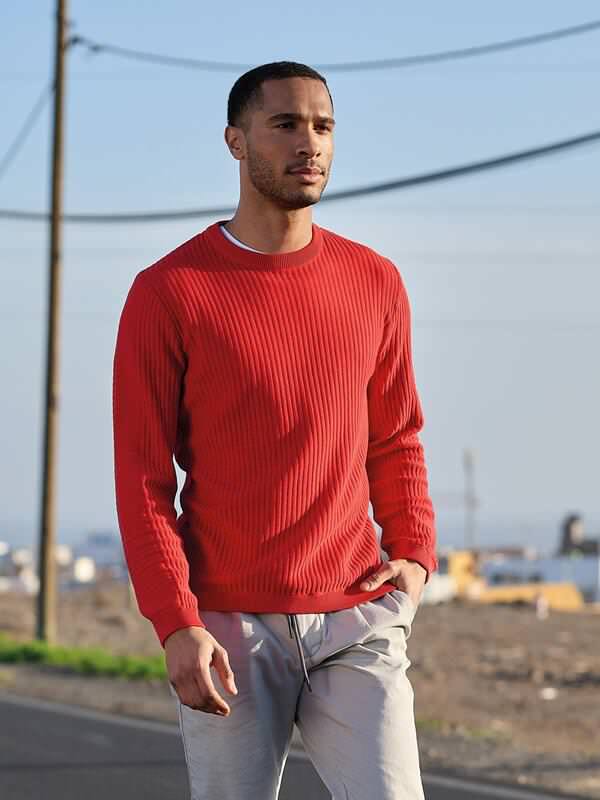 emilio adani Herren Pullover regular rot uni Rundhals von emilio adani
