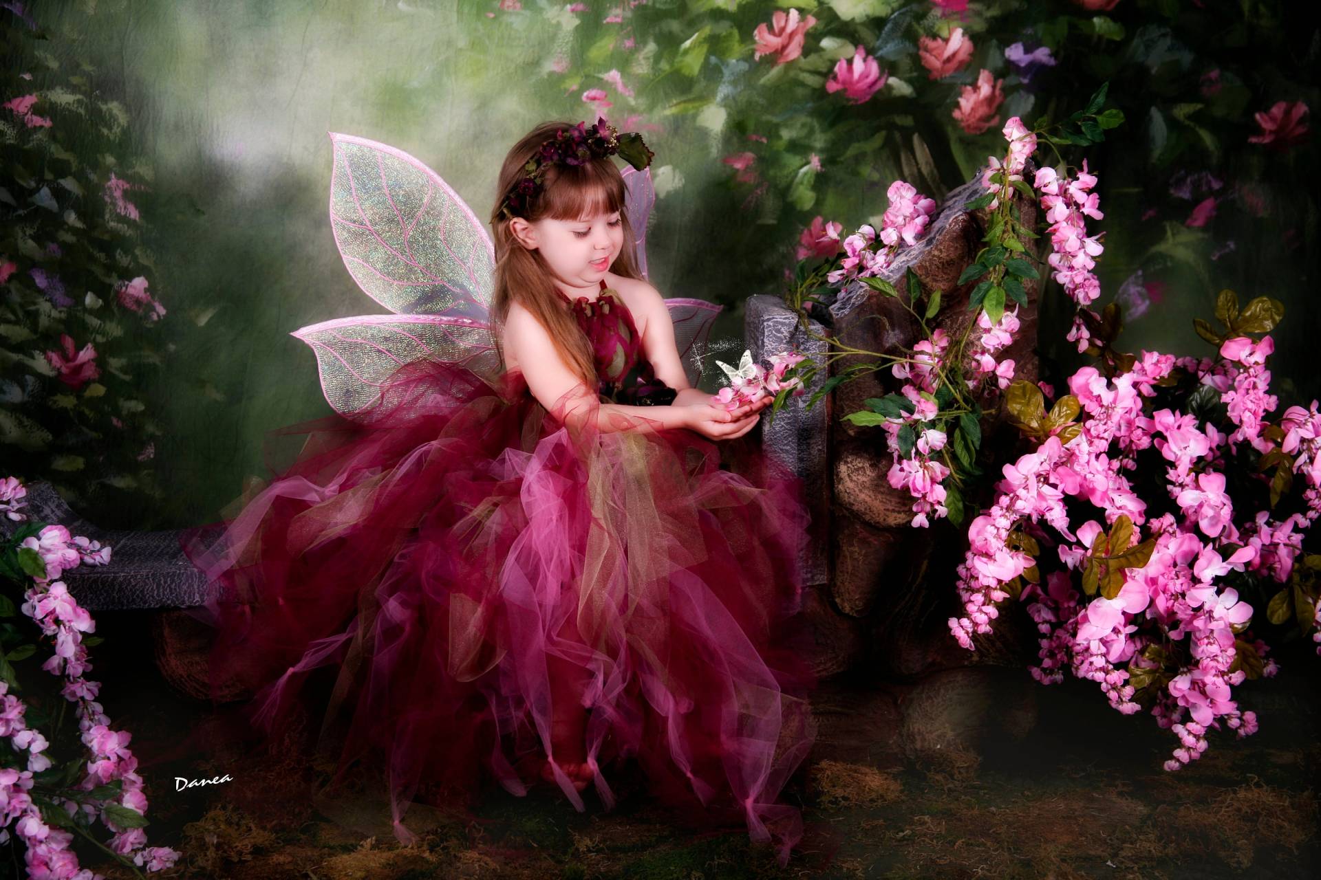 Verzauberte Daphne Fee Flügel Feen Outfit Kinder Kostüm Säugling Erwachsene Fotografie Requisite Baby Verzauberte Daphne Fee Flügel Feen Outfit Kinder Kostüm Säugling Erwachsene Fotografie Requisite Baby von enchantedcostumes