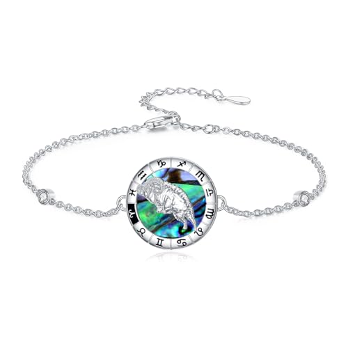 enjoylifecreative Damen Sternzeichen Widder Armband 925er Sterling Silber Aries Horoskop Abalone Muschel Armkette Sternbild Astrologie Geburtstag Schmuck Geschenke für Frauen Mädchen enjoylifecreative Damen Sternzeichen Widder Armband 925er Sterling Silber Aries Horoskop Abalone Muschel Armkette Sternbild Astrologie Geburtstag Schmuck Geschenke für Frauen Mädchen von enjoylifecreative