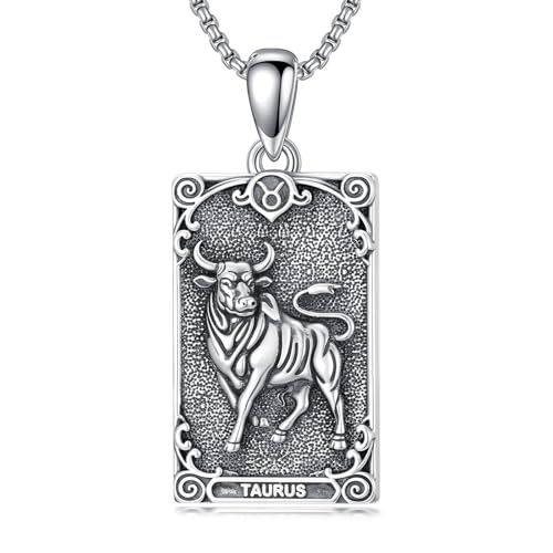 enjoylifecreative Damen Stier Sternzeichen Halskette 925er Sterling Silber Taurus Horoskop Tarotkarte Anhänger Kette Sternbilder Astrologie Geburtstag Schmuck Geschenke für Frauen von enjoylifecreative
