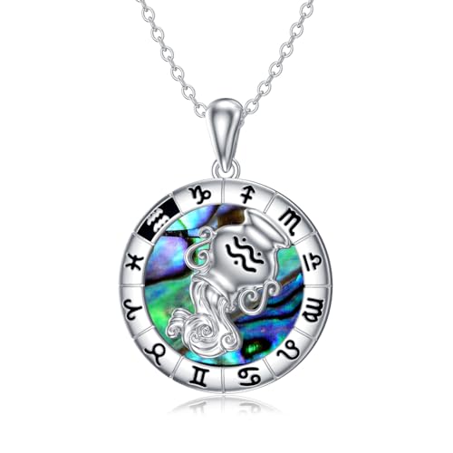 enjoylifecreative Damen Wassermann Sternzeichen Halskette 925er Sterling Silber Aquarius Horoskop Abalone Muschel Anhänger Kette Sternbild Astrologie Geburtstag Schmuck Geschenke für Frauen Mädchen von enjoylifecreative