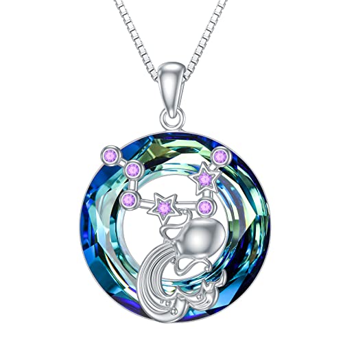 enjoylifecreative Damen Wassermann Sternzeichen Kristall Halskette 925er Sterling Silber Aquarius Geburtsstein Horoskop Anhänger Kette Sternbild Astrologie Schmuck Geschenke für Frauen Mädchen von enjoylifecreative